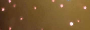 lovemazemo's profile banner image