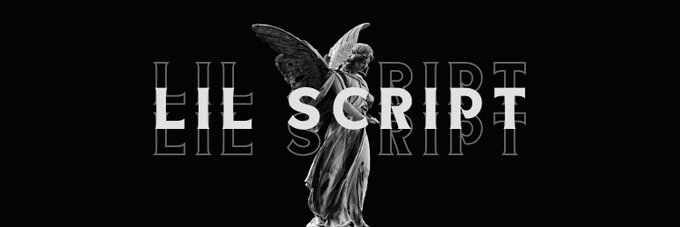 TheLilScript banner