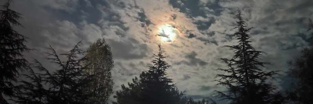 Sdkrez09's profile banner image