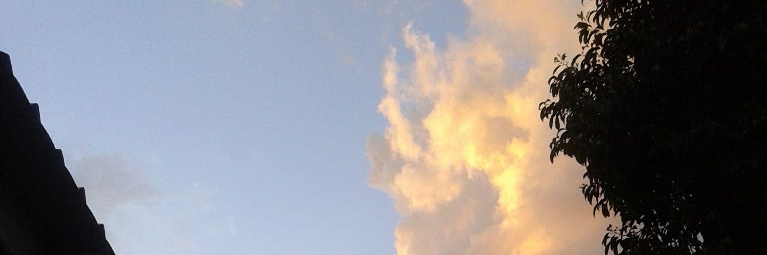 alinecsaipp's profile banner image