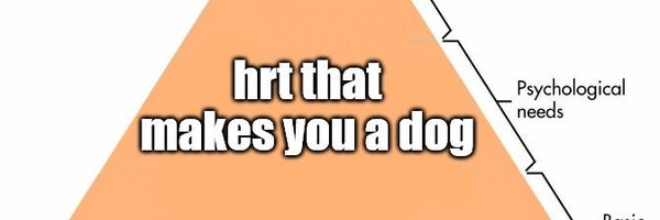 Bunpupppy Profile Banner