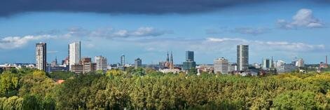 Jeroen Knoops banner