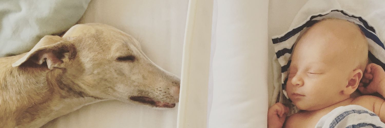 Naph Torrance banner