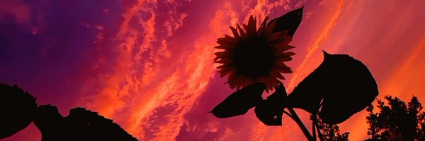 takeki00 Profile Banner