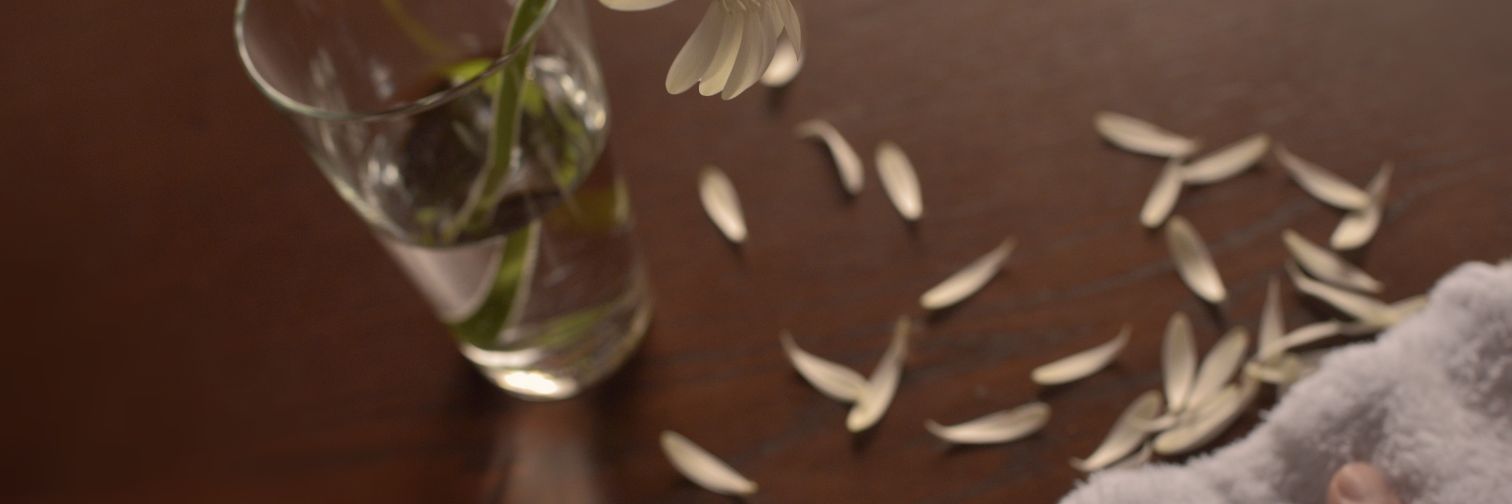 takeki🌗⛄️🐇⛄️ banner