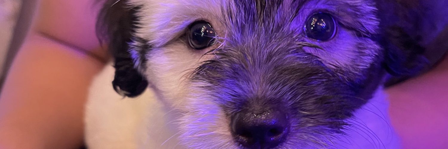 jayARsBook's profile banner image