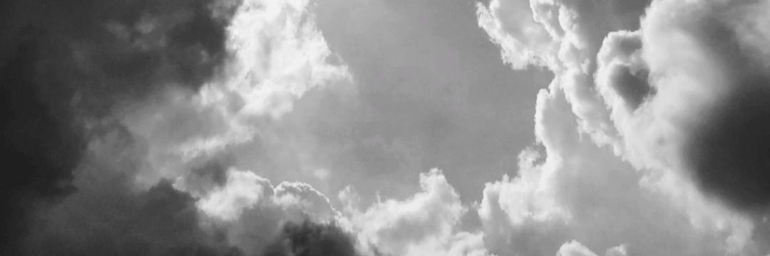 ентитй banner
