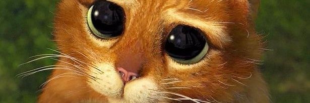 kebentz's profile banner image