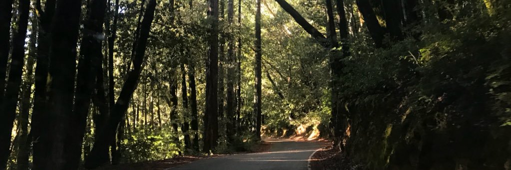 Allaanbear's profile banner image