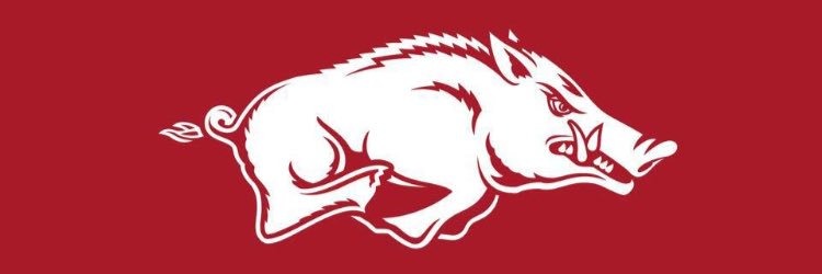 buffrose's profile banner image
