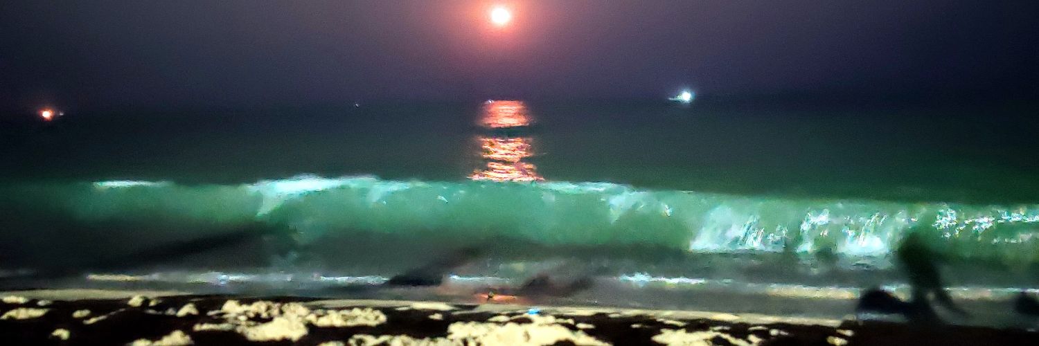 SrinathSS's profile banner image