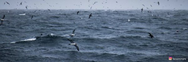 D2mory Profile Banner