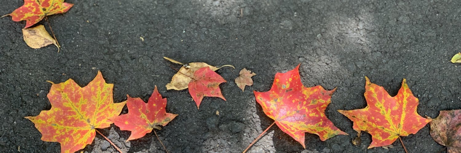 Shalini | Invest ➡️ FI banner