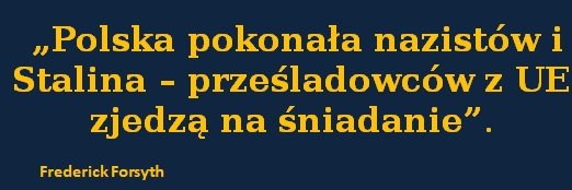 Niewygodne Komentarze 🐺 banner