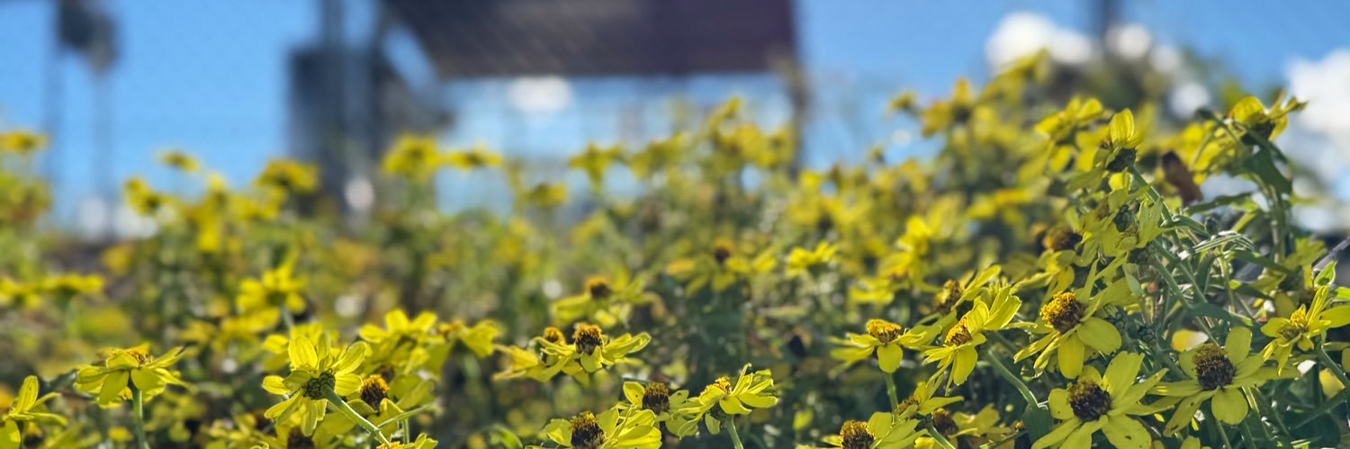 nontacon's profile banner image