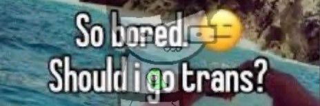 cactusssssssssss 👀🤑 banner