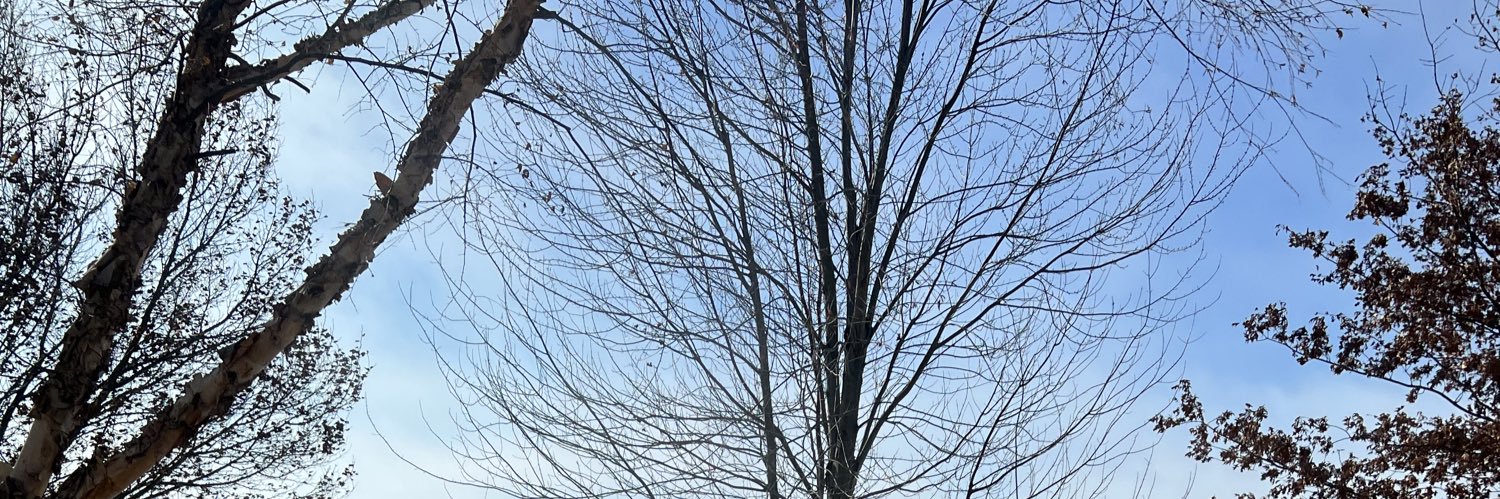 PROUD Cuban opinionated republican mom😘🇨🇺🇺🇸 banner