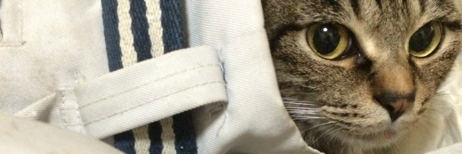 hirtgb's profile banner image