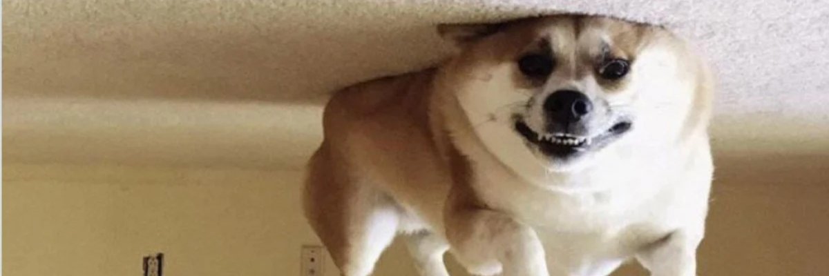 Top Tweets But Funnier banner