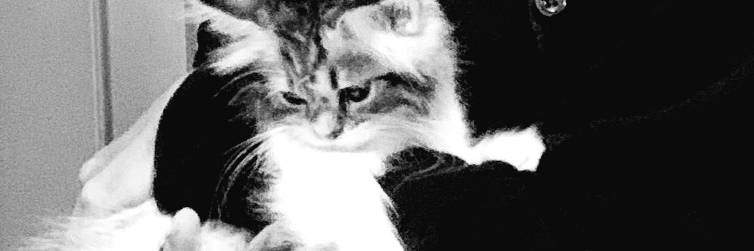 𝓐 banner