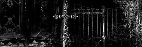 KindLittleBug Profile Banner