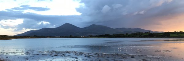 LRNA11 Profile Banner