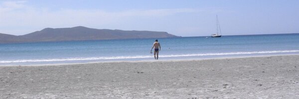 javabird Profile Banner