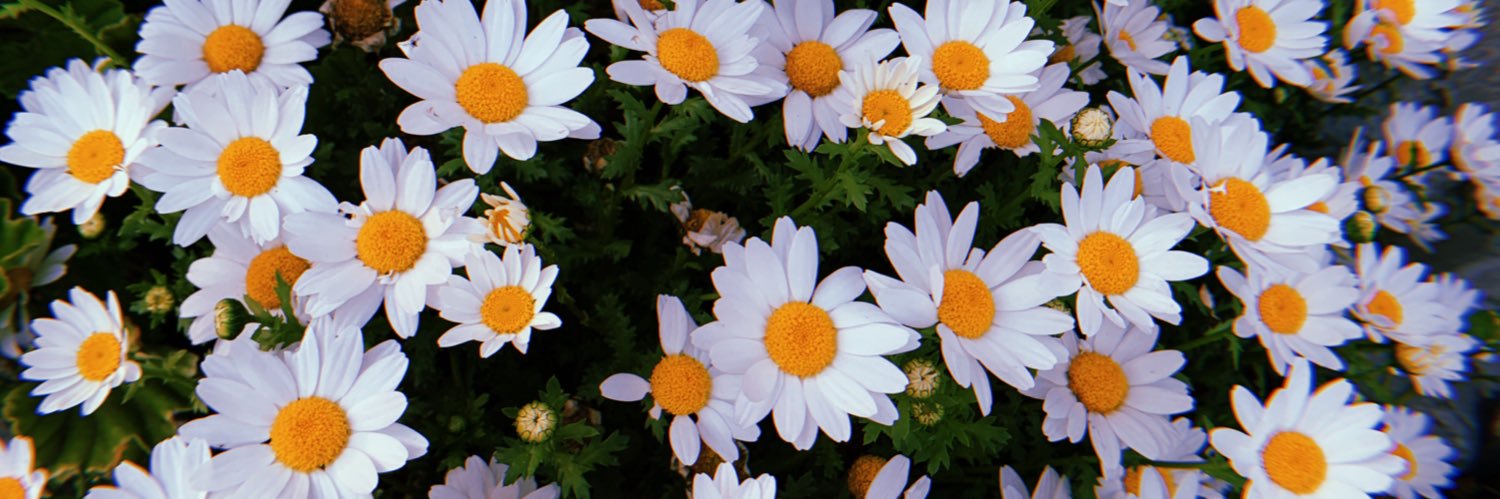 utim03's profile banner image