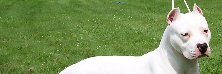 Thomas_S_W's profile banner image