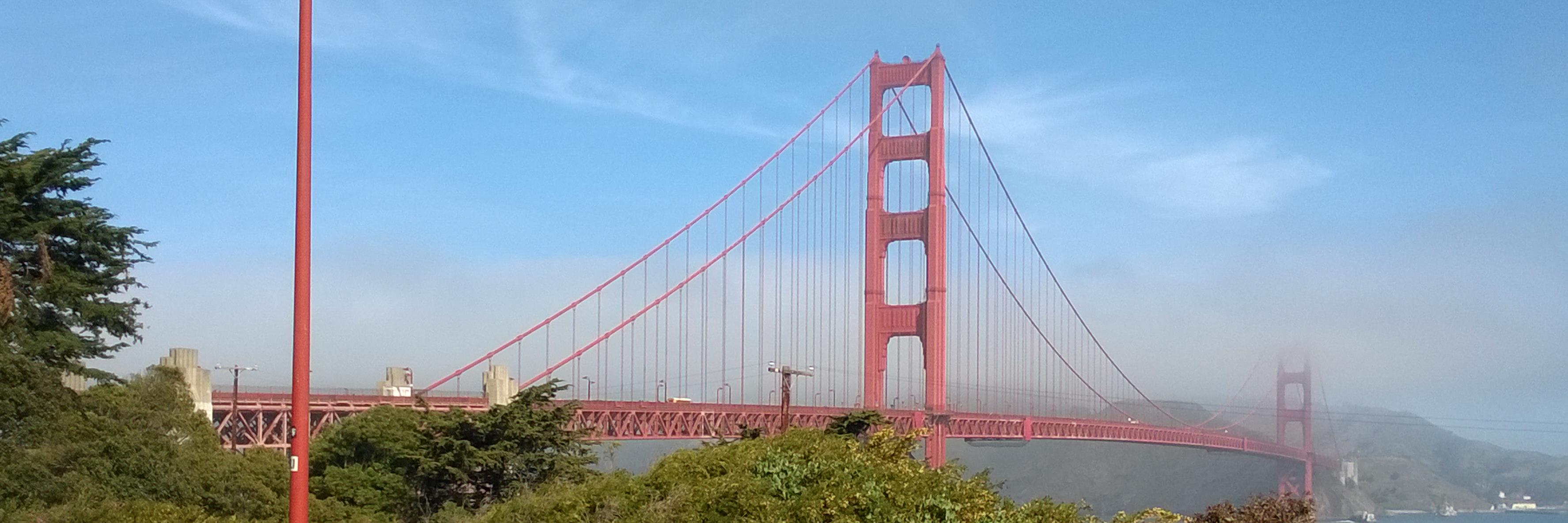 Moises Polishuk banner