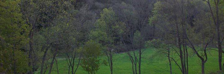 RandyHough banner
