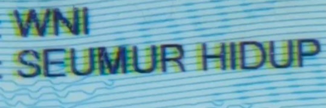 yourexgirlfriend banner