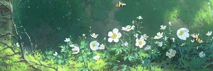 sucodeverde's profile banner image
