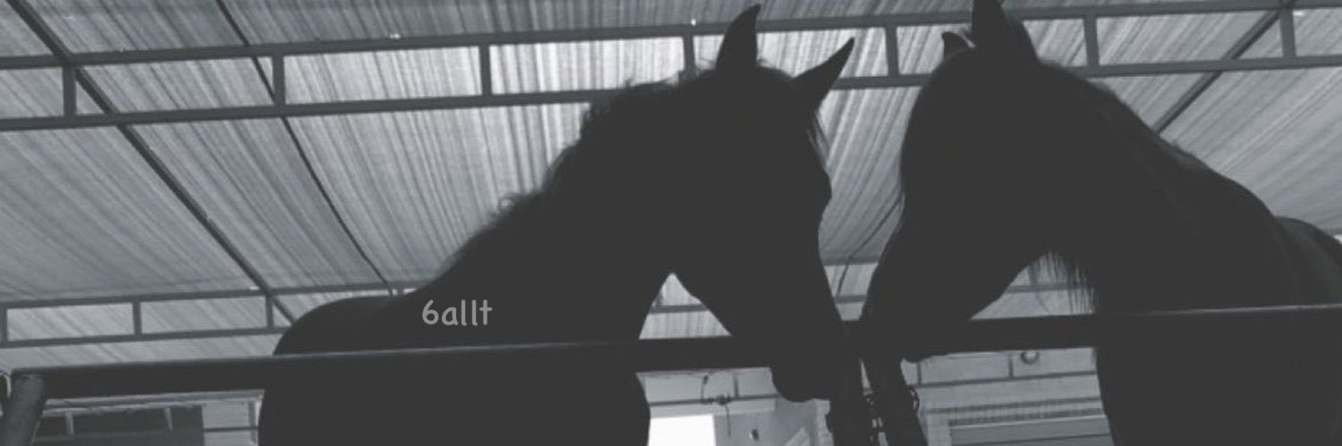 6allt's profile banner image