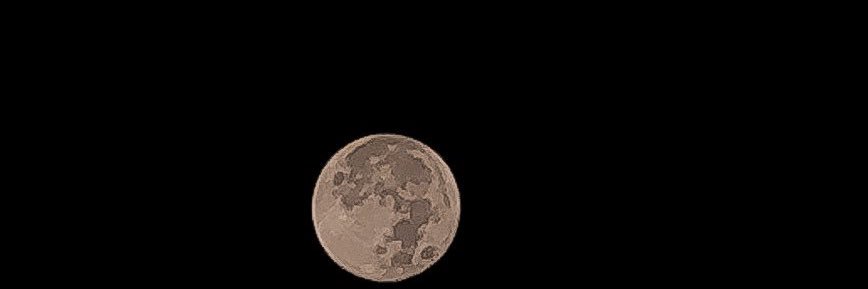 Anivigil_'s profile banner image