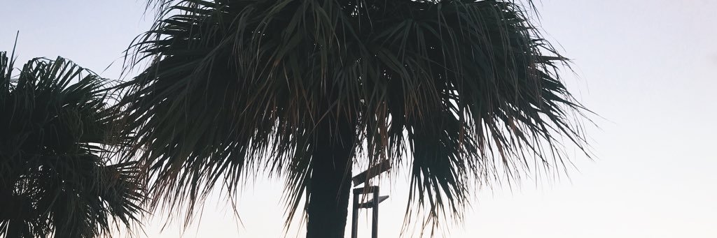 _asuuuuu's profile banner image