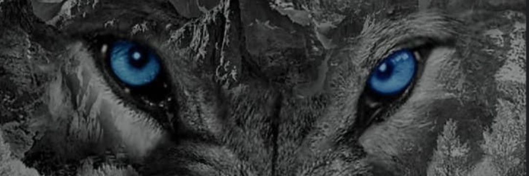 Bonezleng1's profile banner image