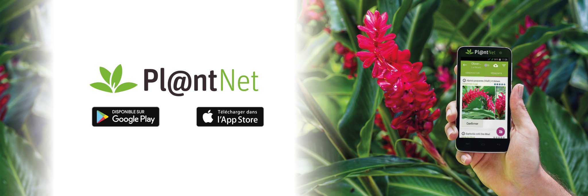 PlantNet banner
