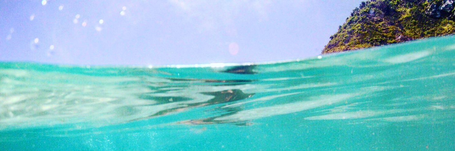 FloraFFC's profile banner image