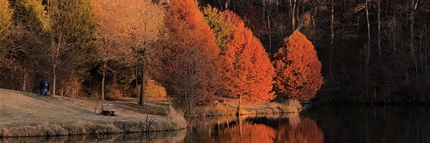 tonymcnabb's profile banner image