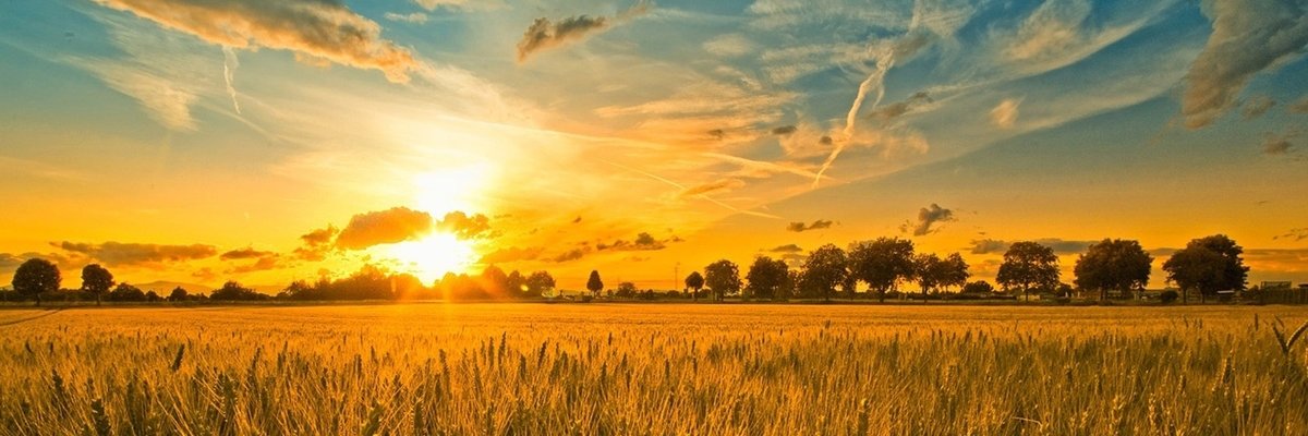 farduroth's profile banner image