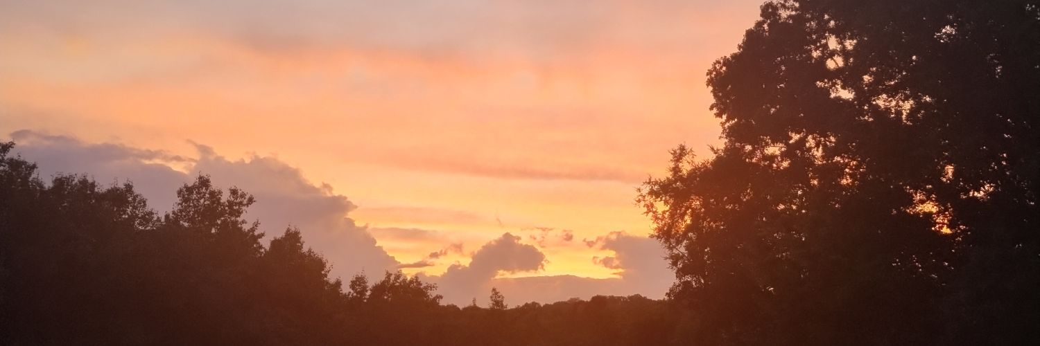 Sue Nelson Reilly banner