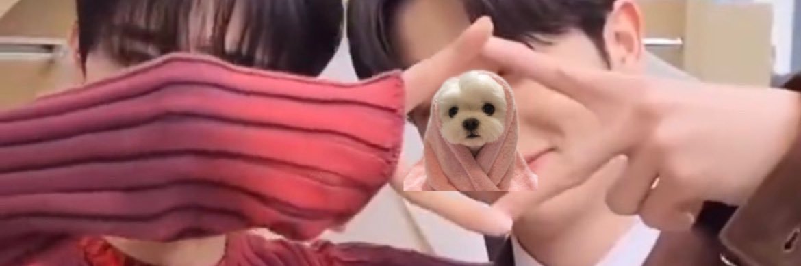 키키 banner