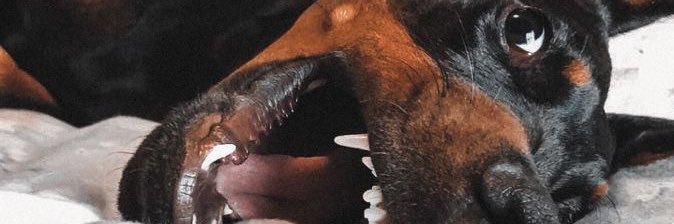 danielpe_10's profile banner image