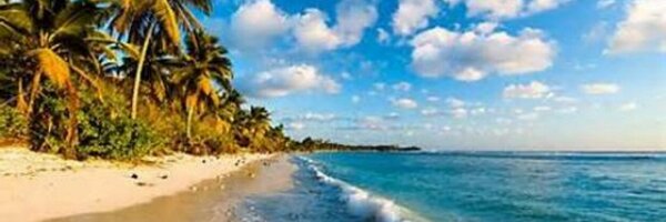 AngelaSyziu Profile Banner