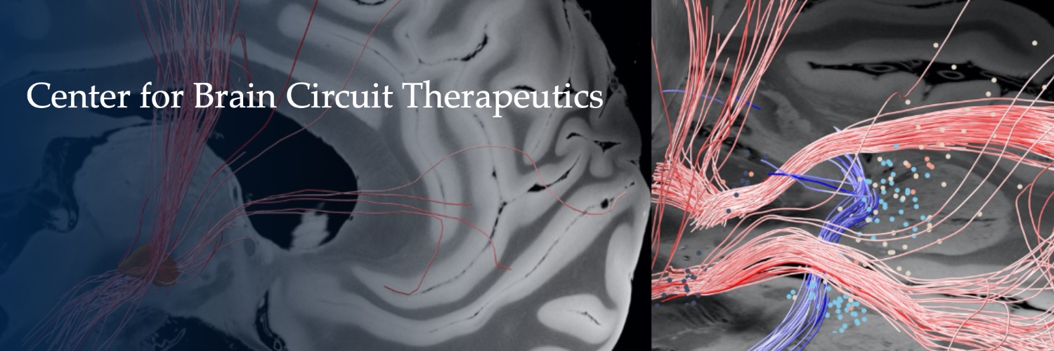 Center For Brain Circuit Therapeutics's banner