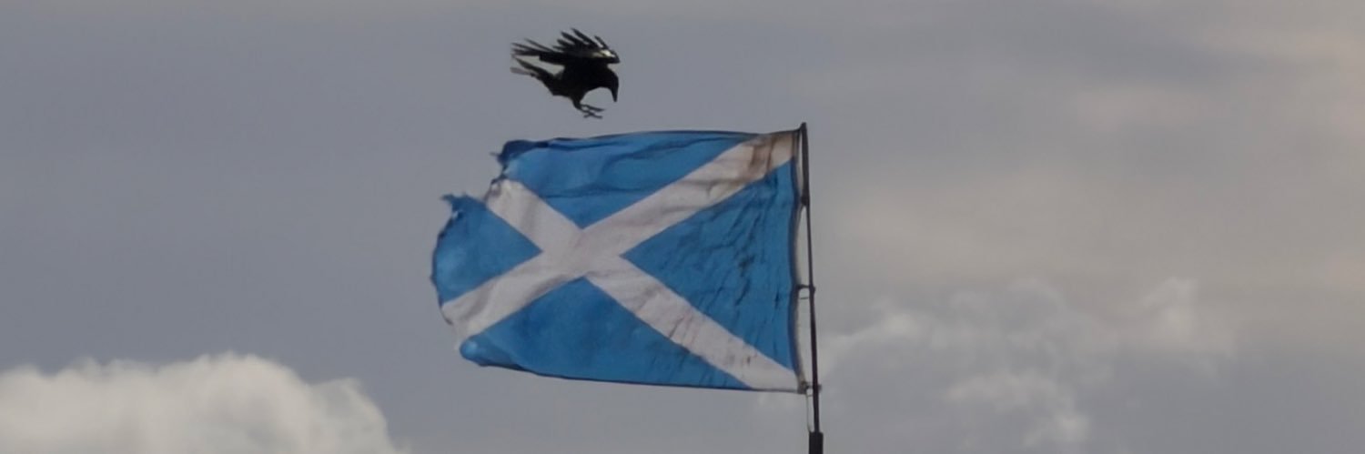 Emil McMahon banner