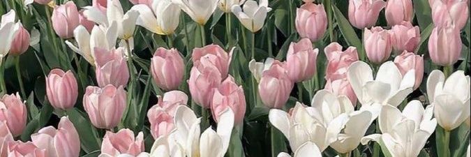 22_par's profile banner image