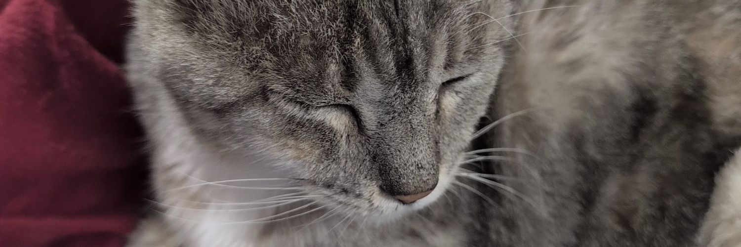yanderist's profile banner image
