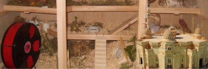 Robo Zwerghamster banner